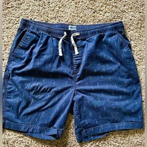Navy Blue Green Accent Shorts